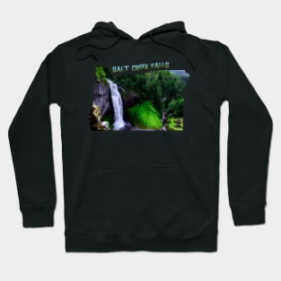 Oregon State Outline (Salt Creek Falls) Hoodie